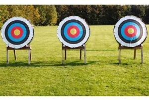 Archery Target