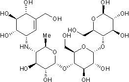 Acarbose Powder