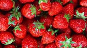 Organic Strawberry