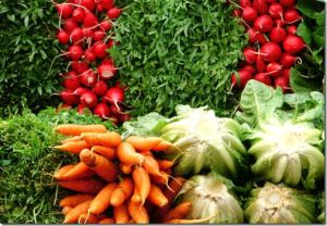 Vegetable Farming Services