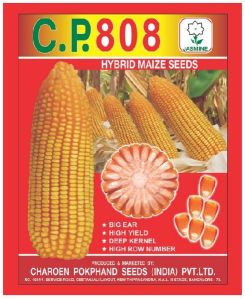 C.P. 808 Hybrid Maize Seeds