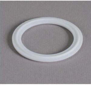 PTFE Gasket