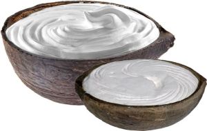 Coconut Shell Ice Cream Cups