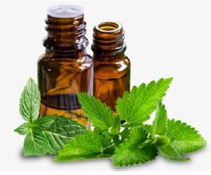 Spearmint Oil