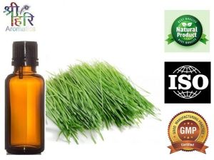 Wheat Grass Oil