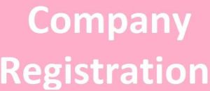 company registration service