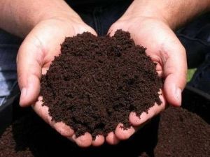 bio vermicompost