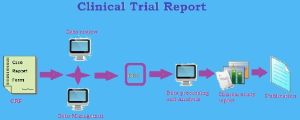 Clinical Trial Report Preparation Services