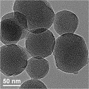 MESOPOROUS SILICA NANOPARTICLES