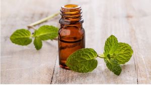 Mentha Citrata Oil