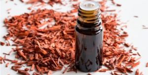 Sandalwood Oil