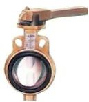 Butterfly Valve