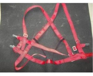 Safety Belts