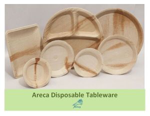Areca Leaf Disposable Plate Bowl Ecofriendly Tableware Cutlery