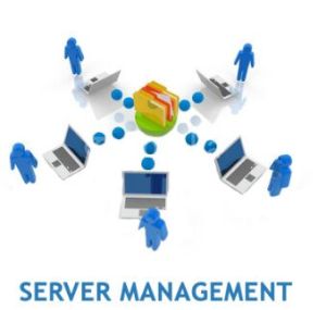 server management services