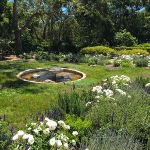 Landscape Fountain