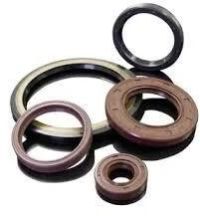 Oil Seal