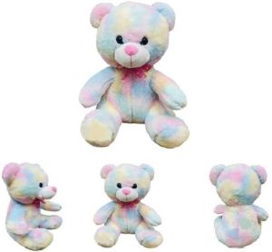 Rainbow Teddy Bear Soft Toy