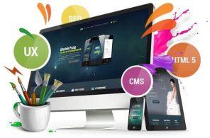 Web Designing Services