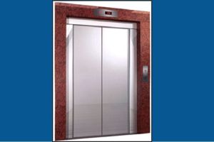 Auto Door Passenger Elevator