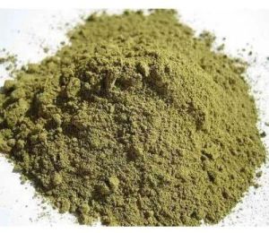 Tulsi Powder