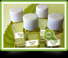 Neem Oil