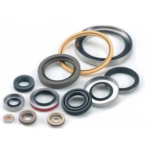 Oil Seal