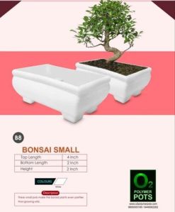 Small Bonsai Pot