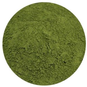 Mentha Arvensis Powder