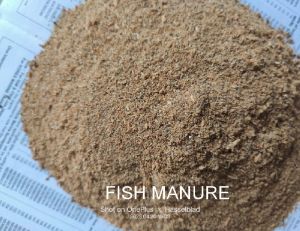 fish manure