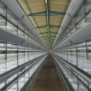 Layer battery Cage