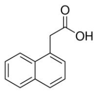 1-naphthylacetic Acid