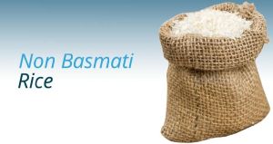 Non Basmati Rice