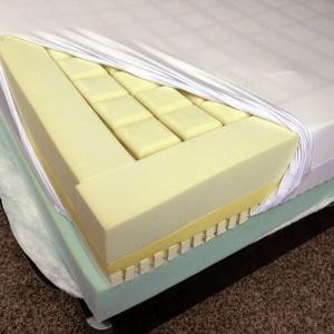 Premier Mold Mattress