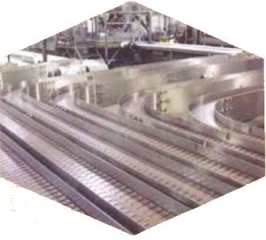 Chain Conveyor