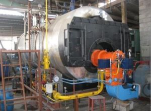 Biogas Fired Boiler