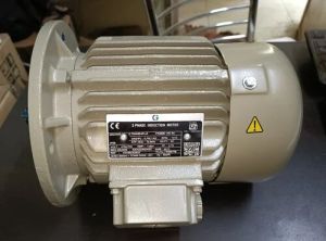 Crompton Greaves Three Phase Induction Motor