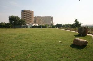 Taiwan Lawn Development Services