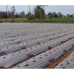 Agricultural Mulching Film Roll