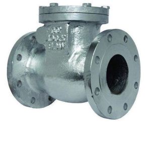 Check Valves