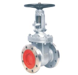 Ss Gate Valve