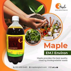 Maple environ