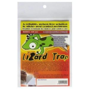 Lizard Glue Trap