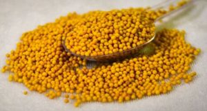 Yellow Mustard Seeds