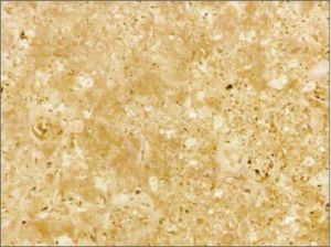 Niwala Peach Granite Slab