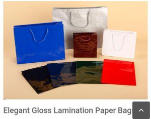 trendy elegant gloss laminated paper bags