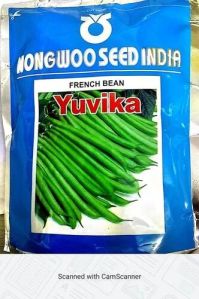 French Bean Seed