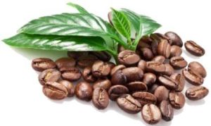 Roasted Arabica Coffee Beans