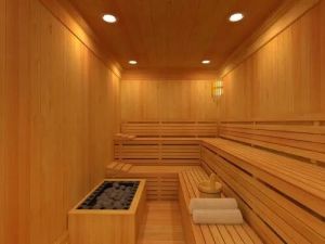 sauna cabinet