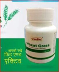 Vadic Wheat Grass